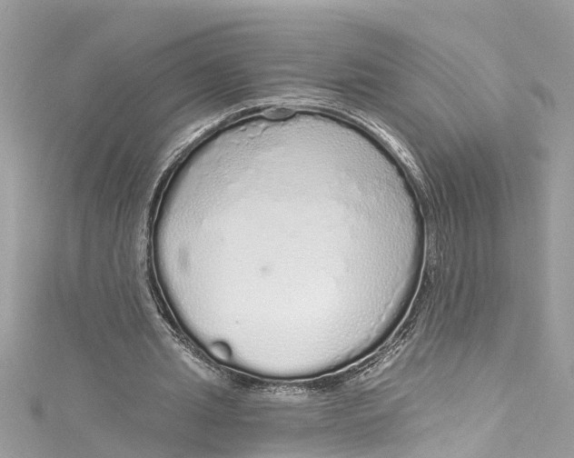 X0000115160437200911171305