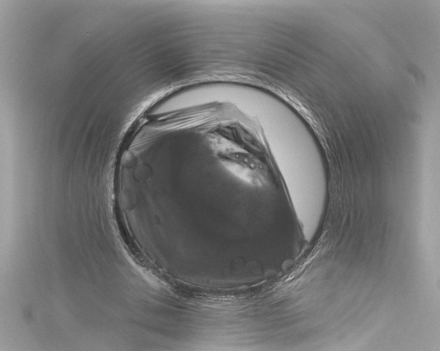 X0000115160438200911171305