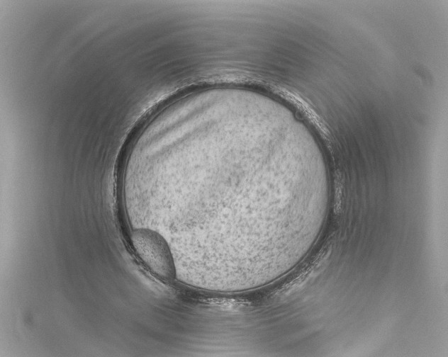 X0000115160439200911171305