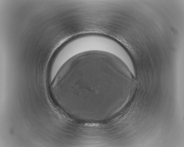 X0000115160440200911171305