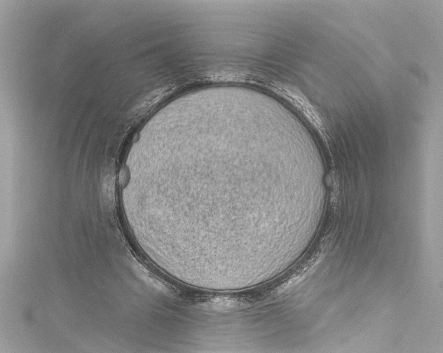 X0000115160441200911171305