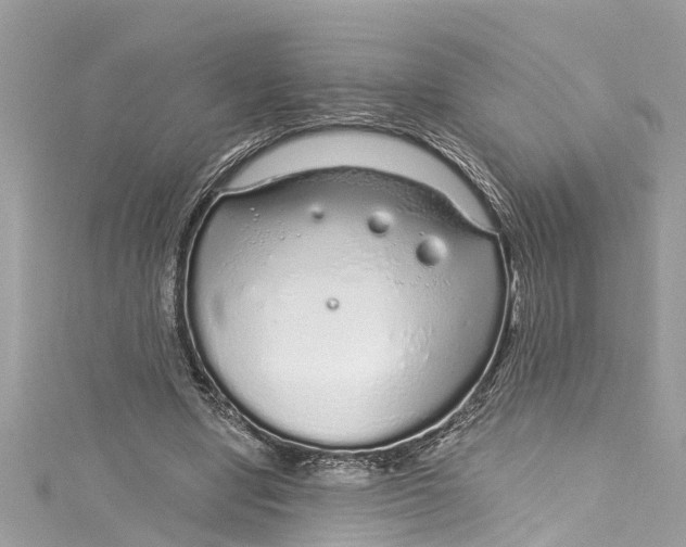 X0000115160442200911171305