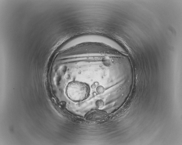 X0000115160443200911171305