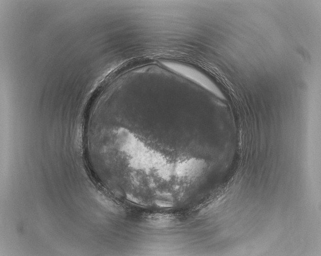 X0000115160444200911171305