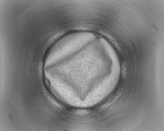 X0000115160445200911171305