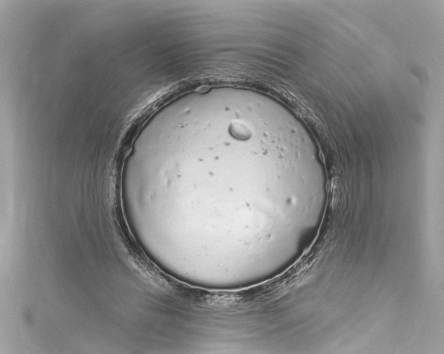 X0000115160446200911171305