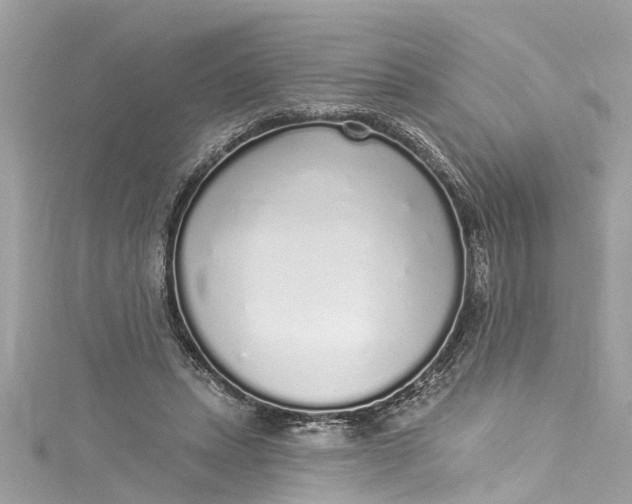 X0000115160447200911171305