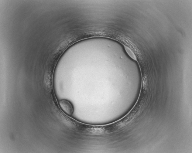 X0000115160449200911171305