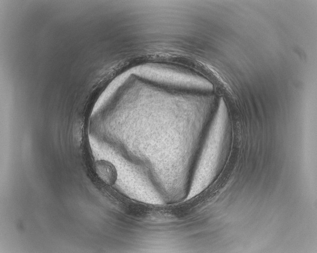 X0000115160451200911171305