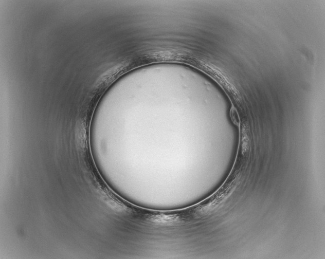 X0000115160453200911171305