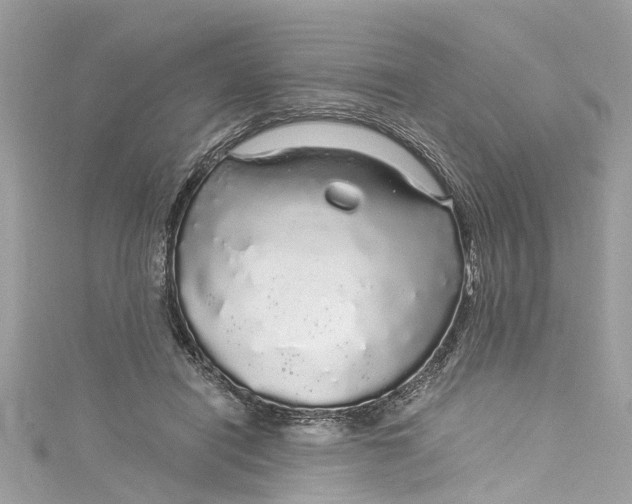 X0000115160454200911171305