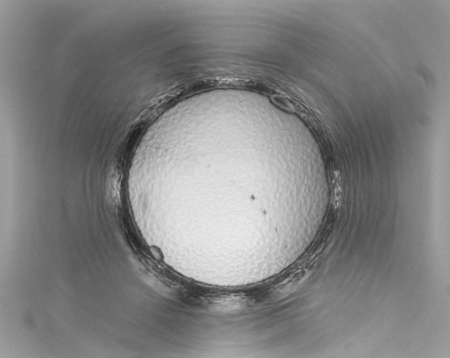 X0000115160456200911171305