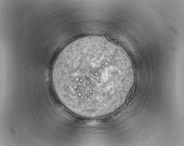 X0000115160457200911171305