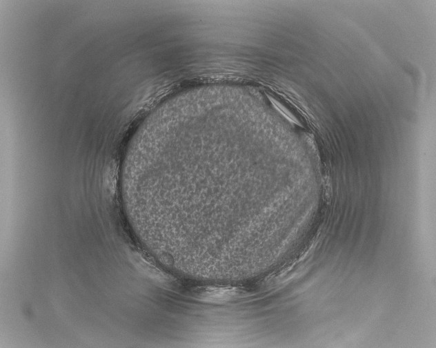 X0000115160458200911171305