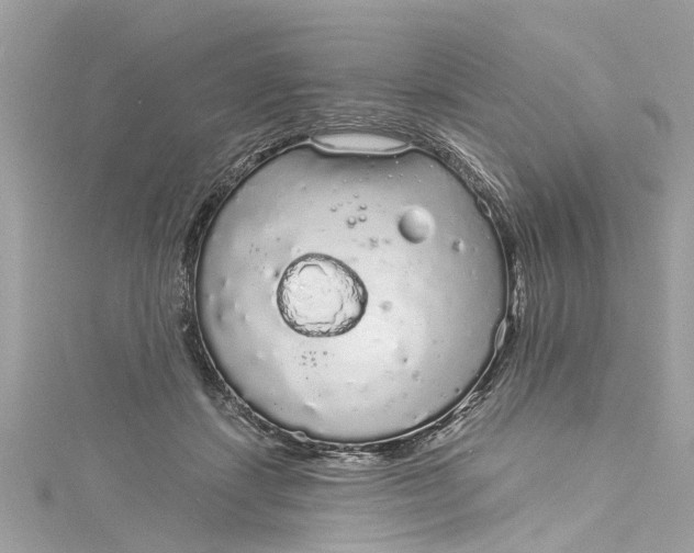 X0000115160459200911171305