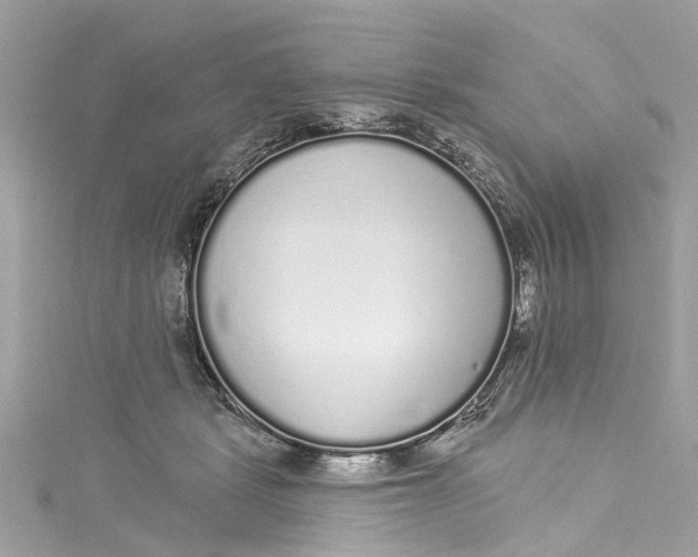 X0000115160461200911171305