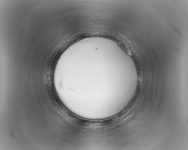 X0000115160462200911171305