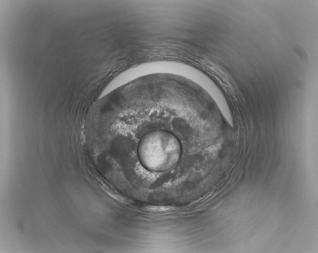 X0000115160465200911171305