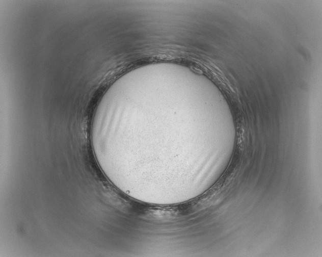 X0000115160466200911171305