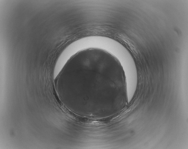 X0000115160467200911171305