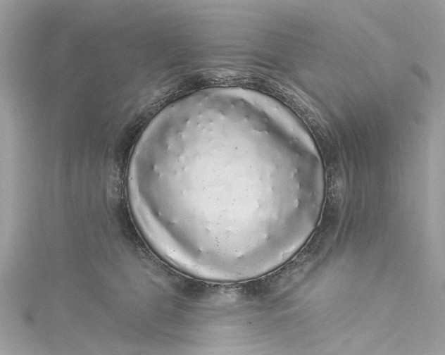 X0000115160469200911171305