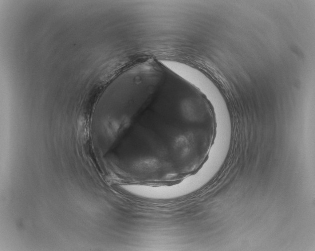 X0000115160471200911171305