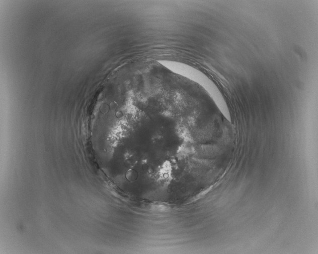 X0000115160475200911171305