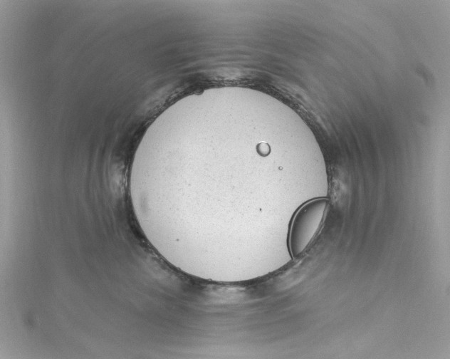 X0000115160476200911171305