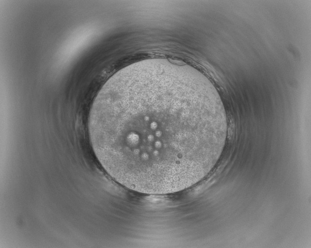 X0000115160477200911171305