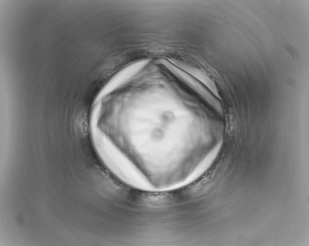 X0000115160479200911171305