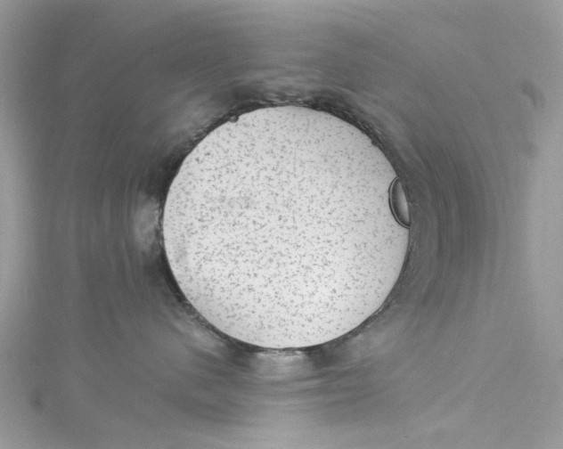 X0000115160480200911171305