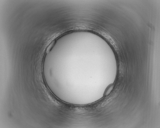 X0000115160481200911171305