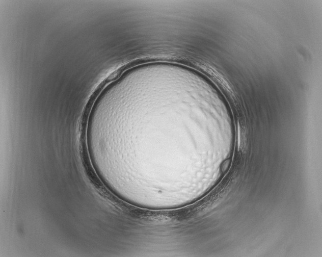 X0000115160483200911171305