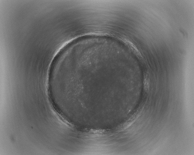 X0000115160484200911171304