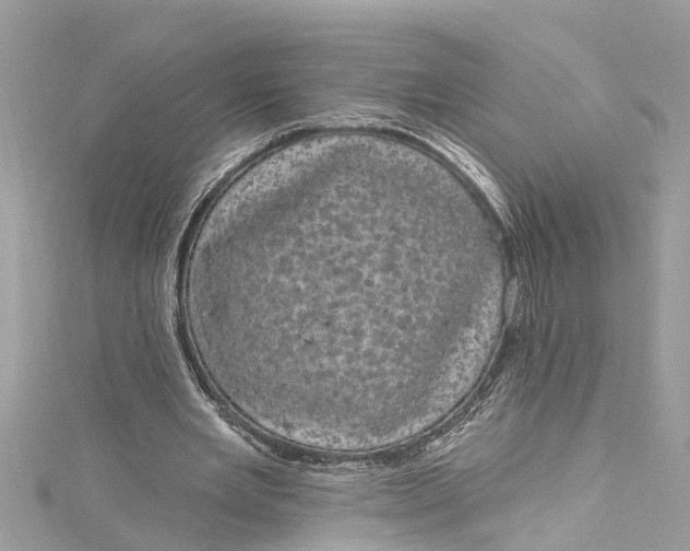 X0000115160485200911171304