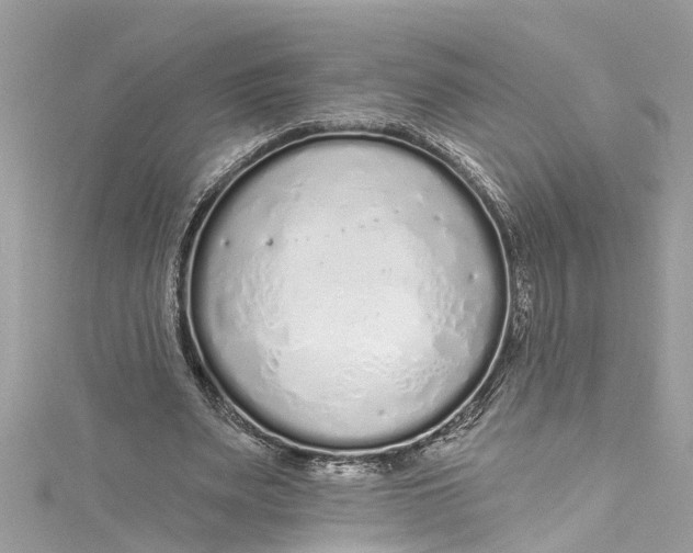 X0000115160487200911171304