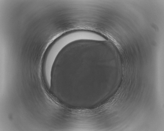 X0000115160488200911171304