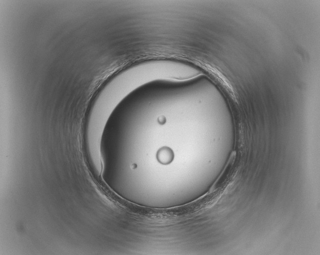 X0000115160489200911171304