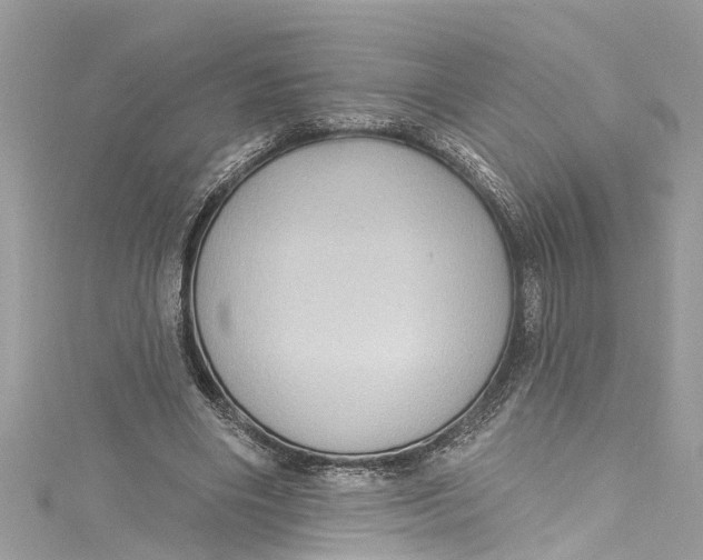 X0000115160490200911171304