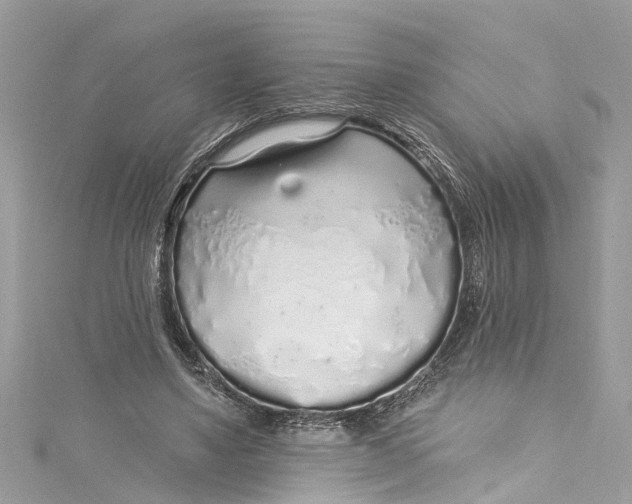 X0000115160491200911171304