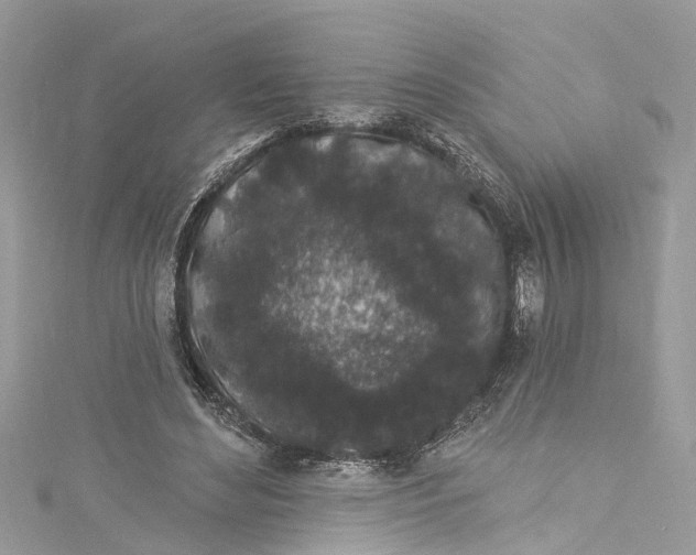 X0000115160492200911171304