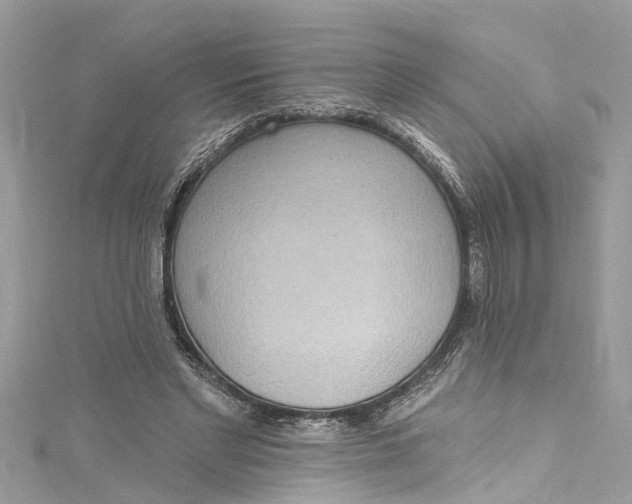 X0000115160493200911171304