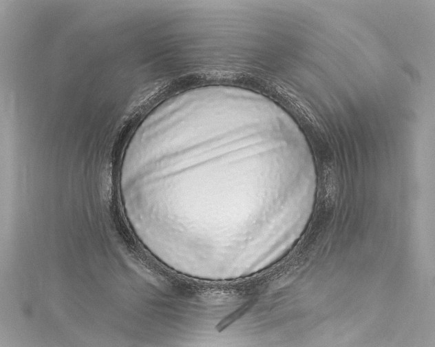 X0000115160494200911171304