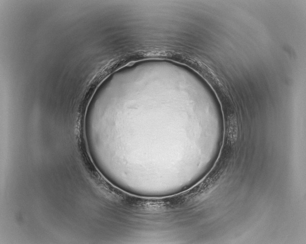 X0000115160495200911171304