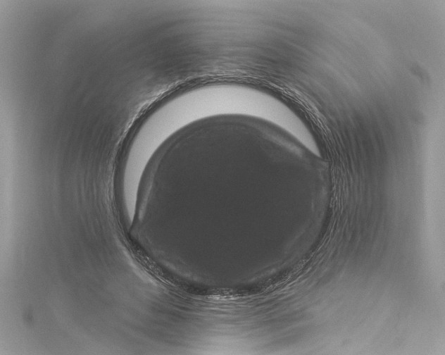 X0000115160496200911171304