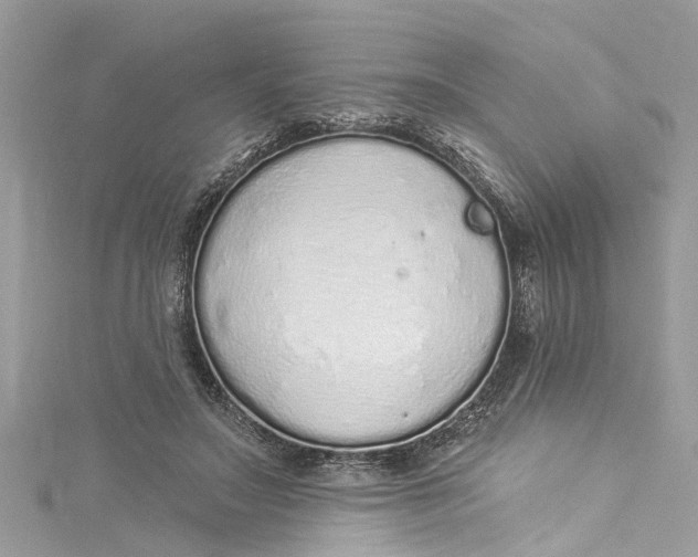 X0000115160499200911171304