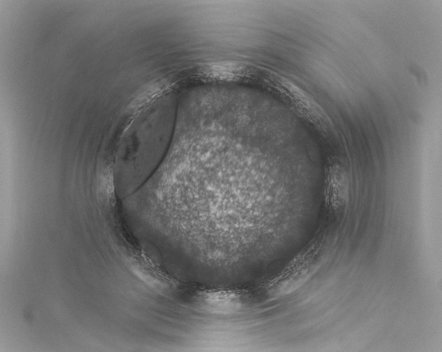 X0000115160500200911171304