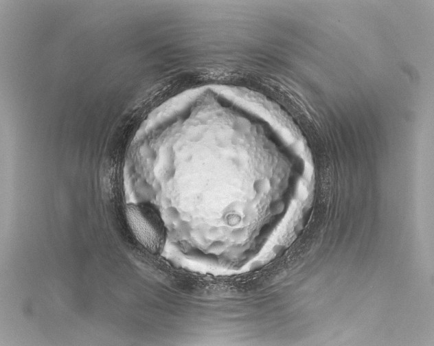 X0000115160503200911171304