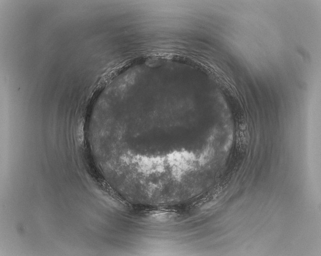 X0000115160504200911171304