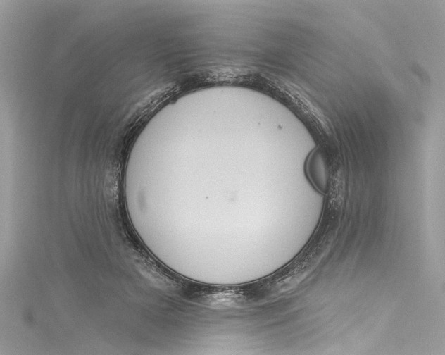 X0000115160505200911171304